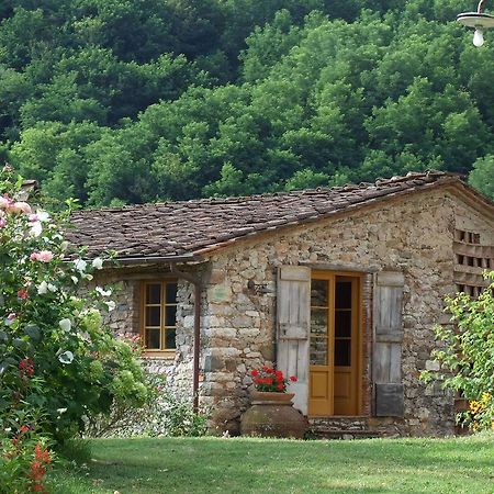 Villa Bottino By Salogi Villas San Martino in Freddana Екстер'єр фото