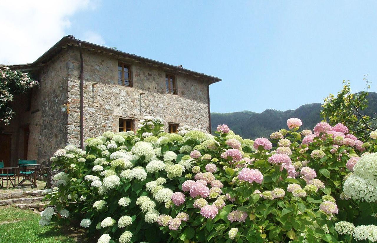 Villa Bottino By Salogi Villas San Martino in Freddana Екстер'єр фото