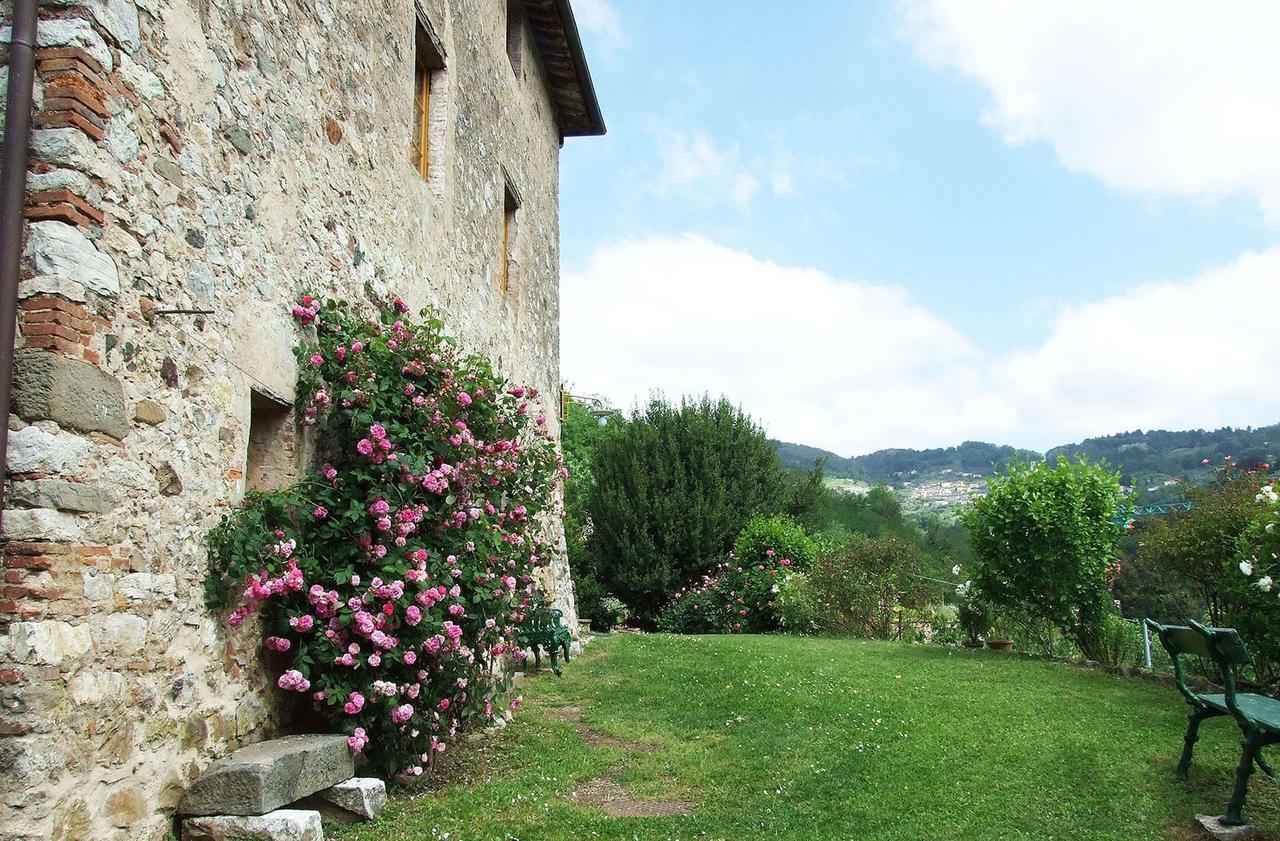 Villa Bottino By Salogi Villas San Martino in Freddana Екстер'єр фото